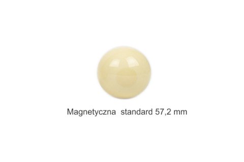 Bila pool Standard biała - do wyboru