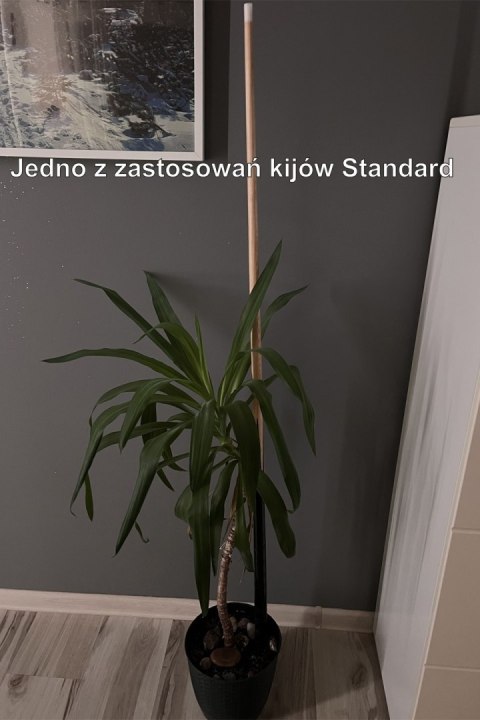Kij Standard długość od 100 cm do 140 cm
