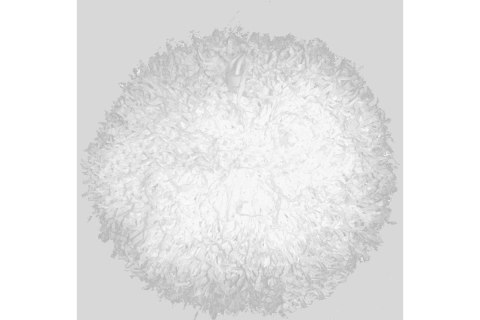 Pompony profesjonalne